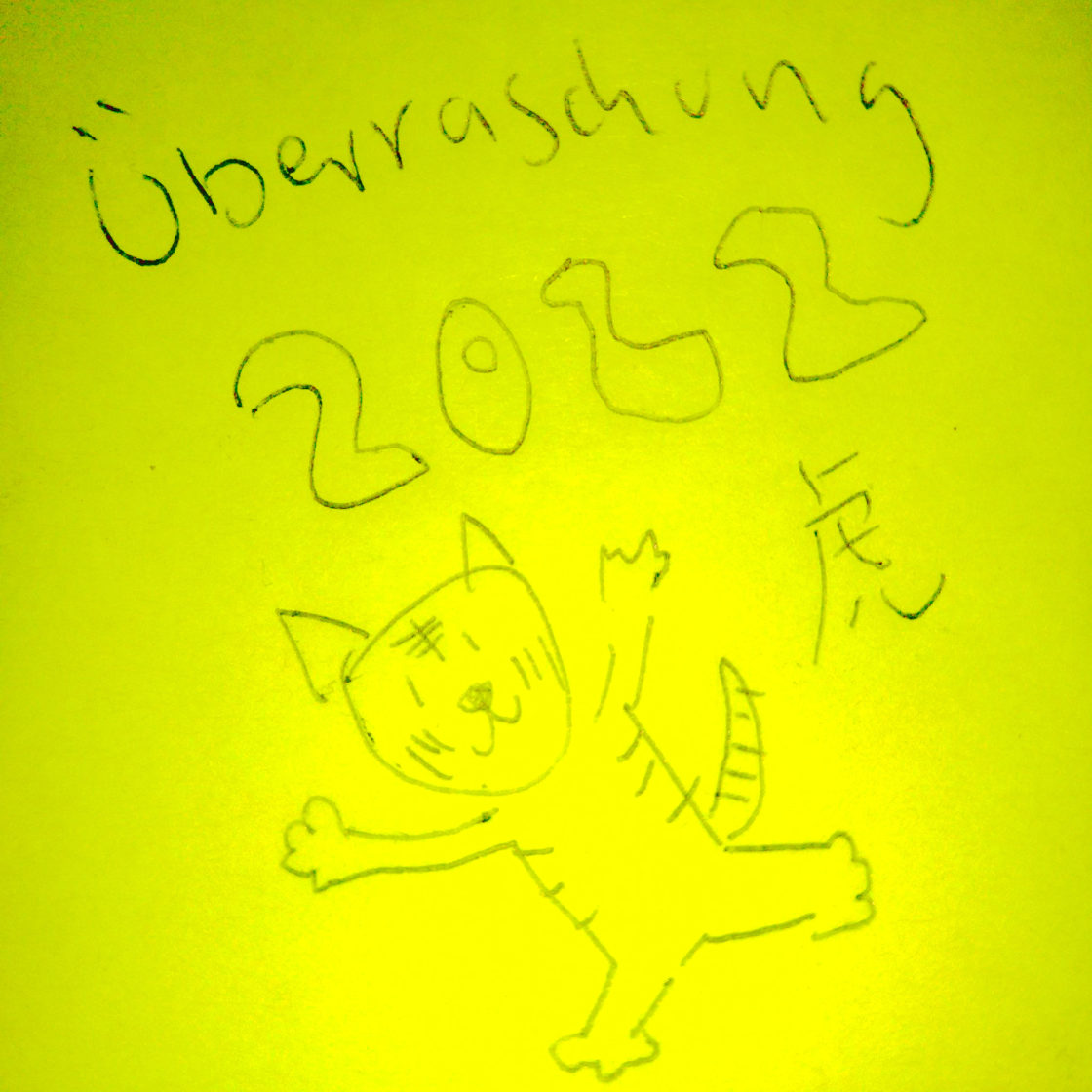 yellow background, drawing of a smiling tiger with black ballpoint pen. "Überraschung 2022"